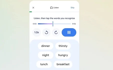Google, Translate'i Duolingo'ya rakip oluyor